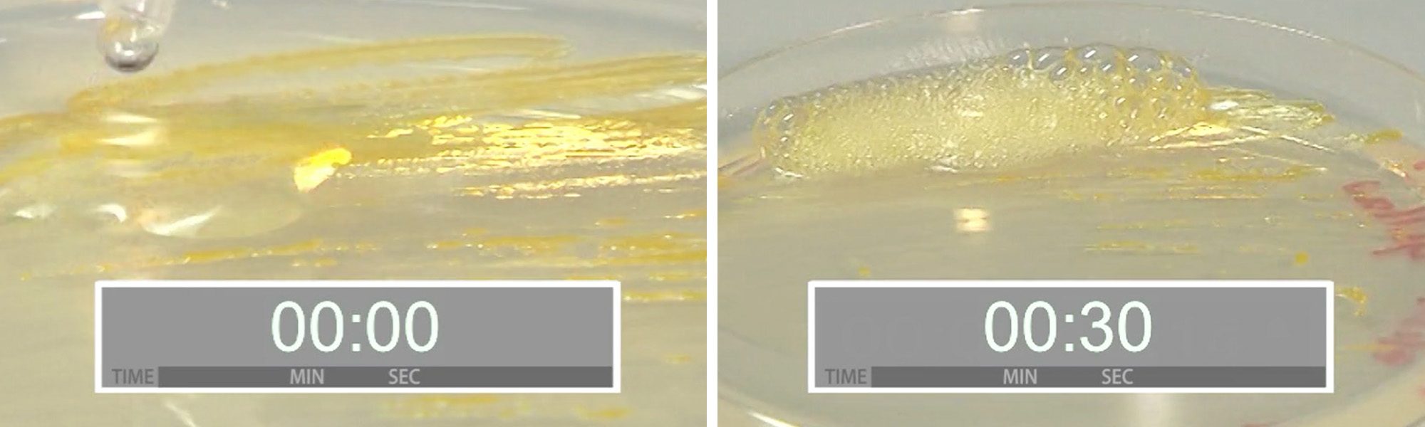 bluesafety-katalase-h2o2-agarplatte
